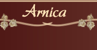 Appartement Arnica