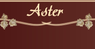 Appartement Aster